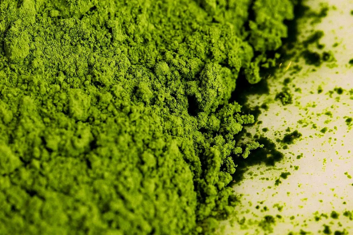 Freshly milled matcha, close up