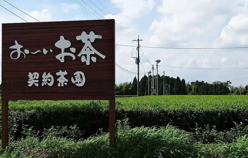 Miyazaki