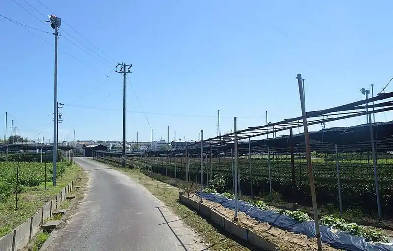 Nishio
