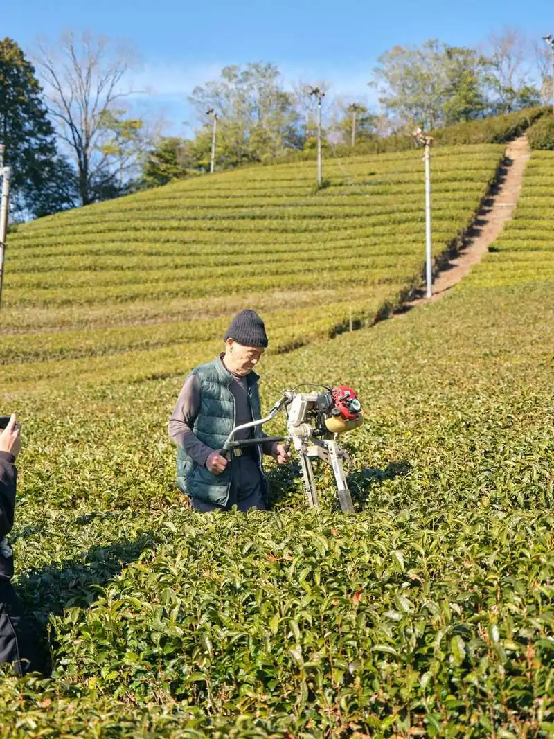 Trimming the rows after winter